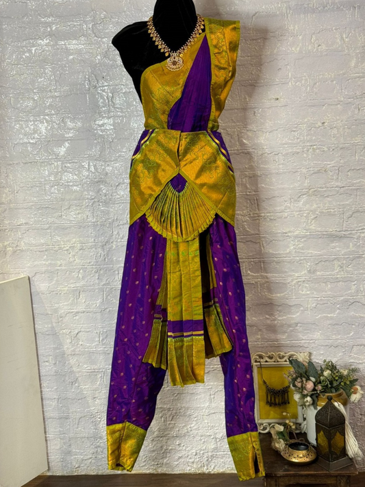 Paithani Saree Bhartnatyam Costume | L