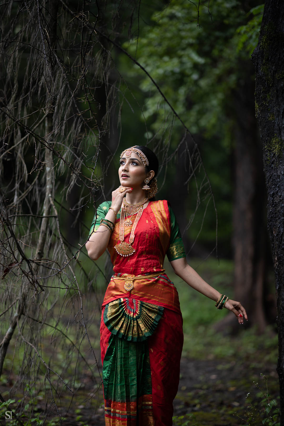 Bharatnatyam Pant Costume